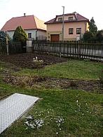 Třibřichy